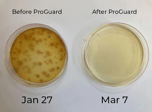 Proguard DXB Mini with BPI Eliminate Microbial Contaminants (Sanitization Unit)
